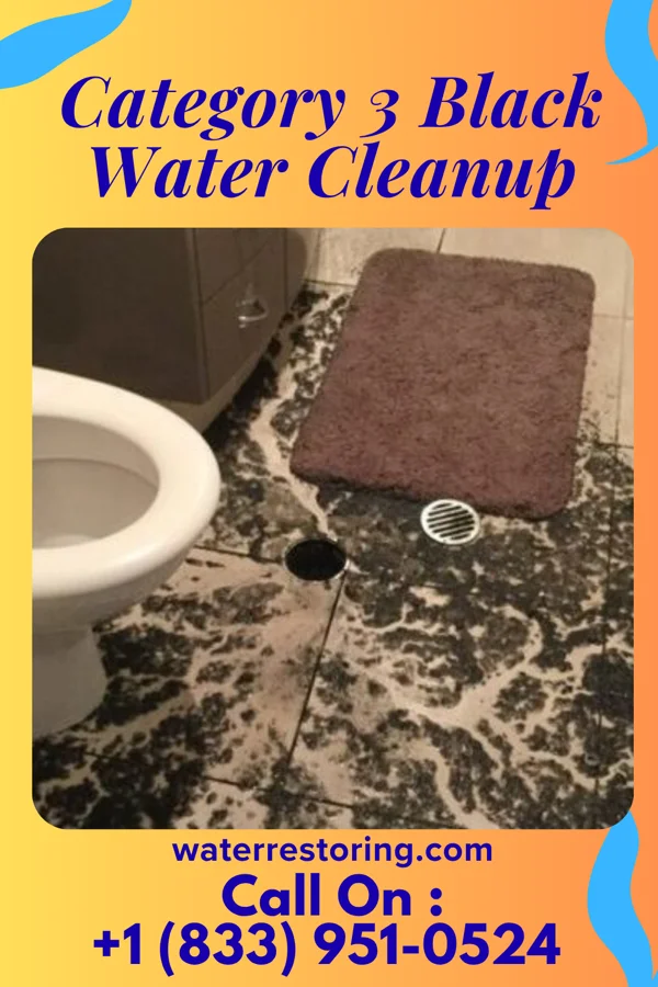Category 3 Black Water Cleanup in Curtis, NE