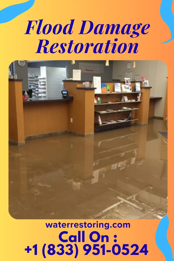 Flood Damage Restoration in Curtis, NE