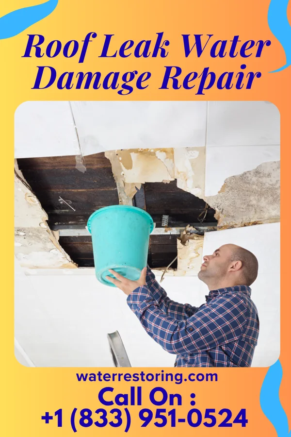 Roof Leak Water Damage Repair in Curtis, NE