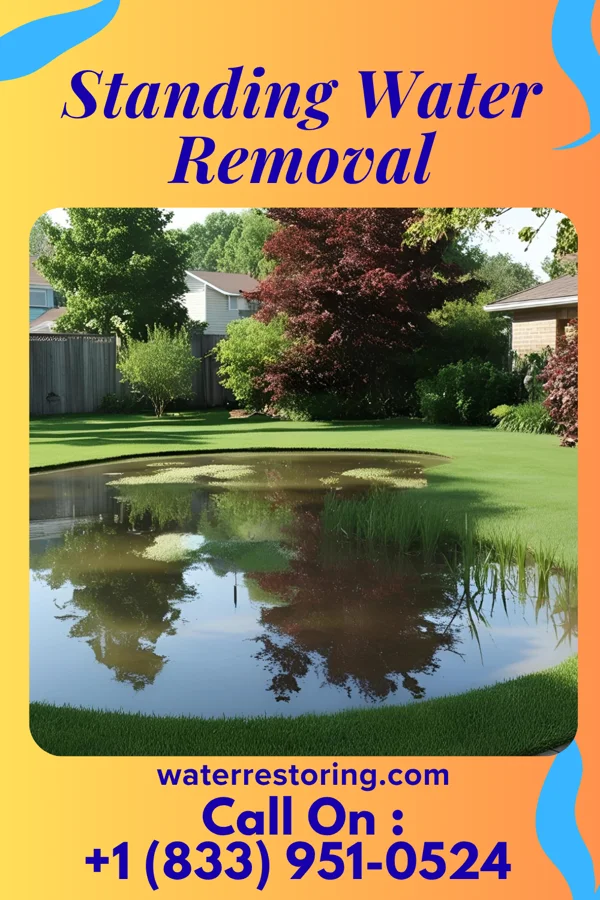 Standing Water Removal in Curtis, NE